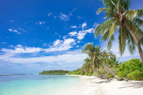 Les Secrets de la Tour Eiffel au Cœur des Conflits Mondiaux : Un Voyage Historique Engagé