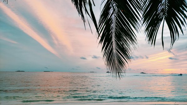 Voyager astucieusement : L'agence de voyage peut-elle vraiment alléger votre budget ?